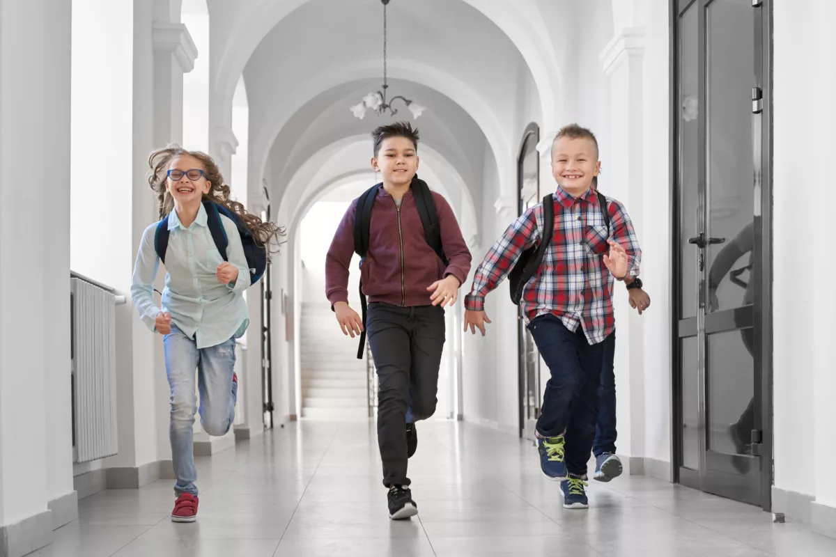 Das wichtigste für den Schulstart